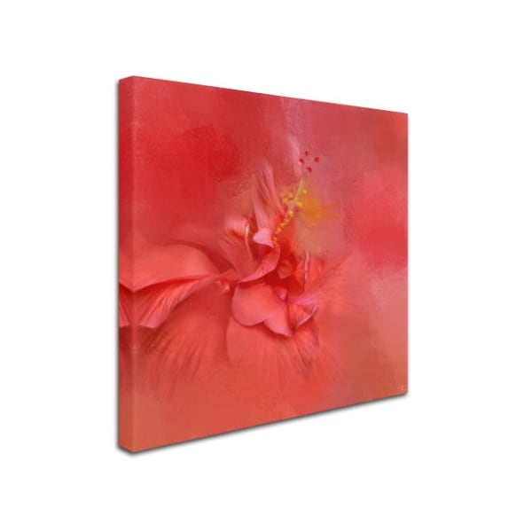 Jai Johnson 'Salmon Hibiscus 2' Canvas Art,14x14